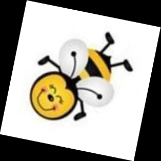 Easybeescale
